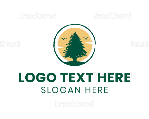 Sun Pine Tree Logo