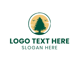 Resthouse - Sun Pine Tree logo design