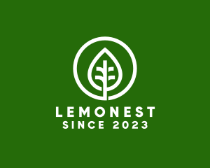 Natural - Leaf Agriculture Nature logo design