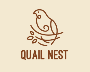 Bird Nest Scribble  logo design