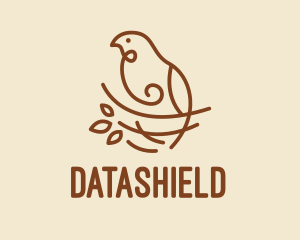 Passerine - Bird Nest Scribble logo design