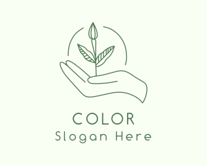 Leaf Sprout Hand Logo