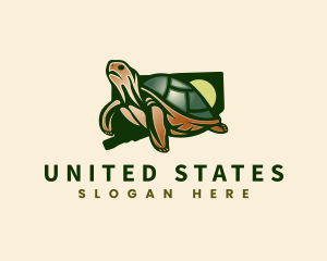 Connecticut Wildlife Turtle logo design