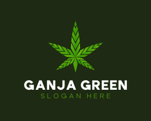 Abstract Weed Marijuana  logo design