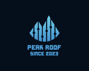 Digital Mountain Peak logo design