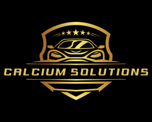 Premium Racing Car logo design