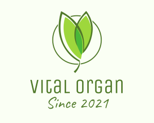 Organic Seedling Plant  logo design