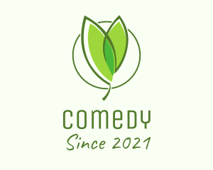 Sprout - Organic Seedling Plant logo design