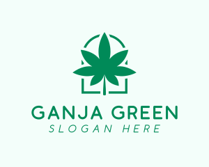 Organic Cannabis Leaf logo design