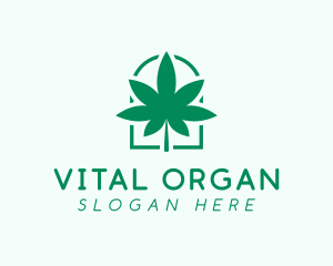 Organic Cannabis Leaf logo design