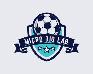 Sports Football Soccer logo design