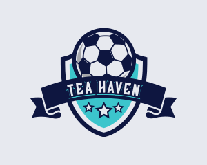 Sports Football Soccer logo design