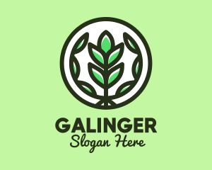 Mangrove - Organic Farming Emblem logo design