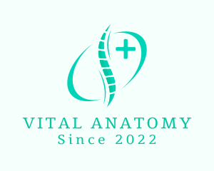 Anatomy - Medical Spine Therapy logo design