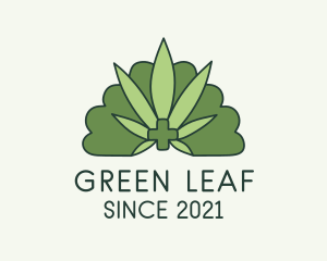 Green Medical Weed  logo design