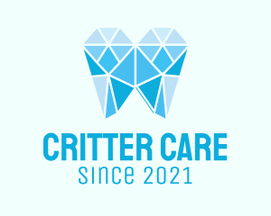 Geometric Dental Care  logo design