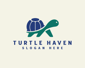 International Globe Turtle logo design