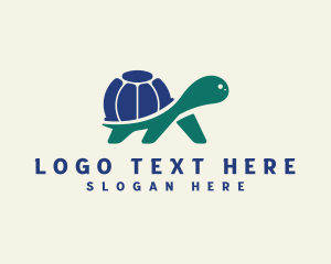 Tortoise - International Globe Turtle logo design