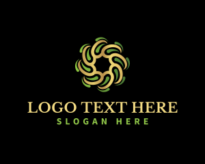 Online - Eco Vortex Motion logo design