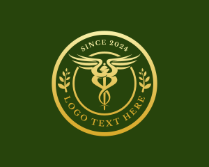 Classic - Wellness Hospital Doctor logo design
