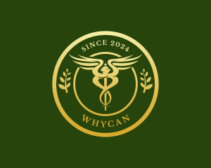 Wellness Hospital Doctor Logo