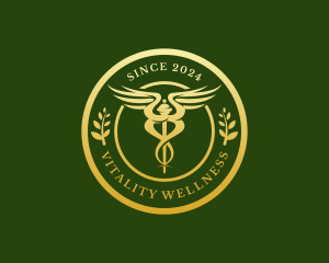 Wellness Hospital Doctor logo design