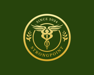 Wellness Hospital Doctor logo design