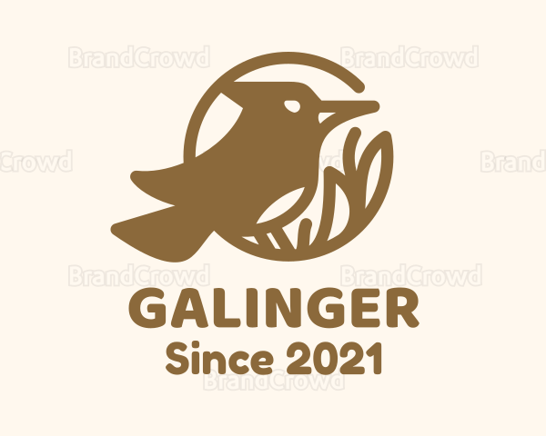 Brown Bird Wildlife Logo