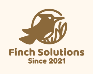 Brown Bird Wildlife logo design