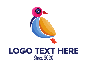 Paint Company - Colorful Pigeon Outline logo design