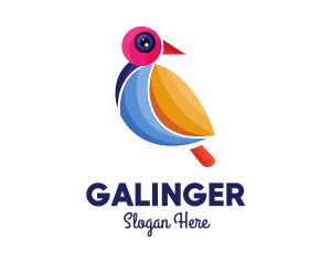 Colorful Pigeon Outline Logo