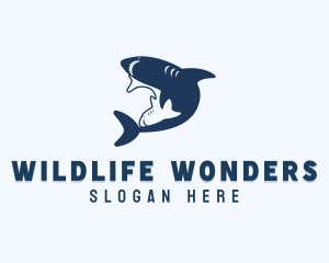 Zoology - Shark Fish Animal logo design