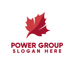 Canadian Leaf Flag  Logo