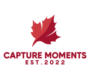 Canadian Leaf Flag  logo design