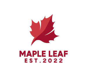 Canadian Leaf Flag  logo design