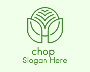 Minimalist Natural Leaf Logo