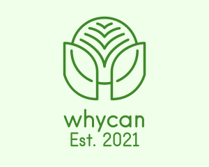 Ecologicial - Minimalist Natural Leaf logo design