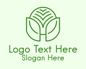 Minimalist Natural Leaf Logo