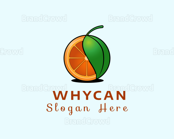 Fresh Citrus Fruit Logo