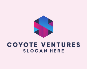 3D Cube Hexagon  logo design