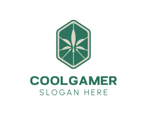 Hexagon Weed Cannabis Logo