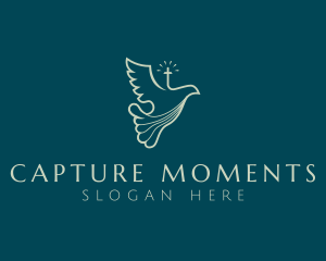 Dove Catholic Church logo design