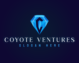 Premium Crystal Diamond logo design