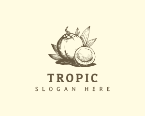 Coconut Juice Drink logo design