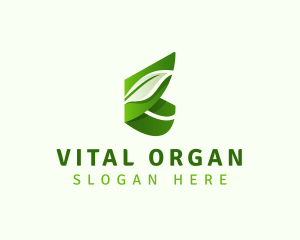 Natural Organic Leaf logo design