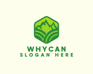 Hexagon Mountain Farm Logo