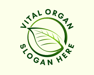 Organic Wellness Herb logo design