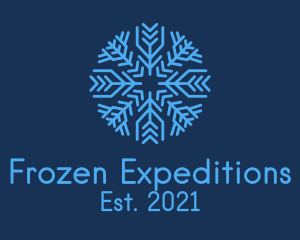 Antarctica - Christmas Ice Snowflake logo design