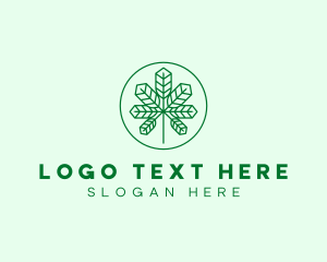 Marijuana - Geometric Cannabis Marijuana Leaf logo design