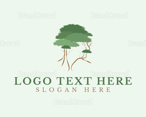 Man Tree Wellness Logo